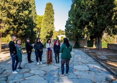 Visita guiada ciudad romana de Itálica Santiponce